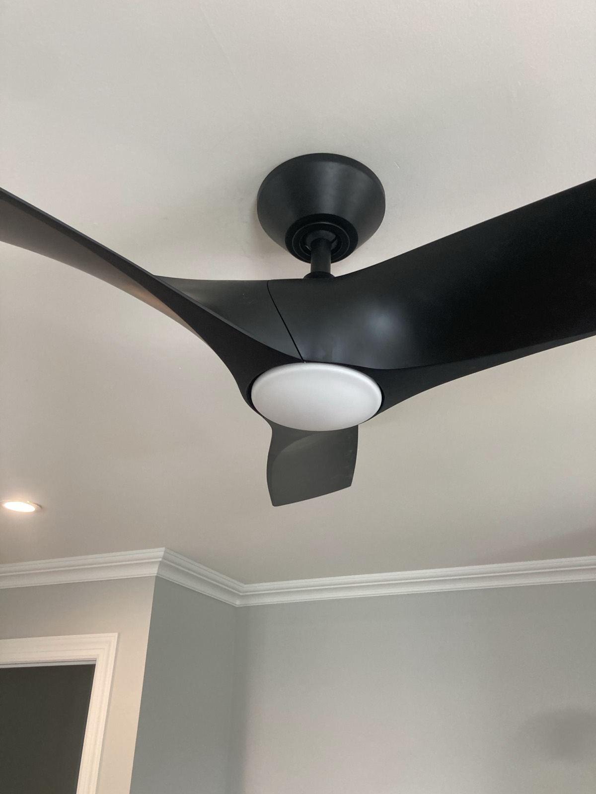 Black Ceiling Fan