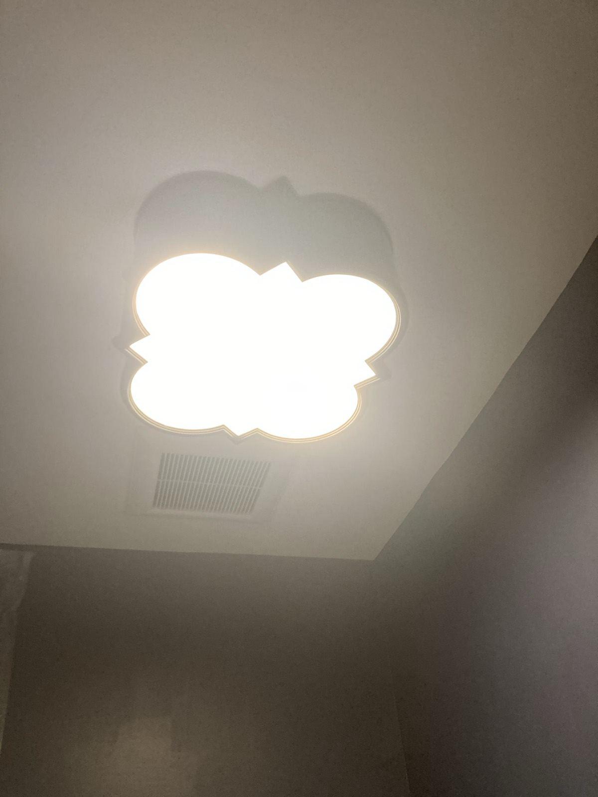 Bath Fan & Light