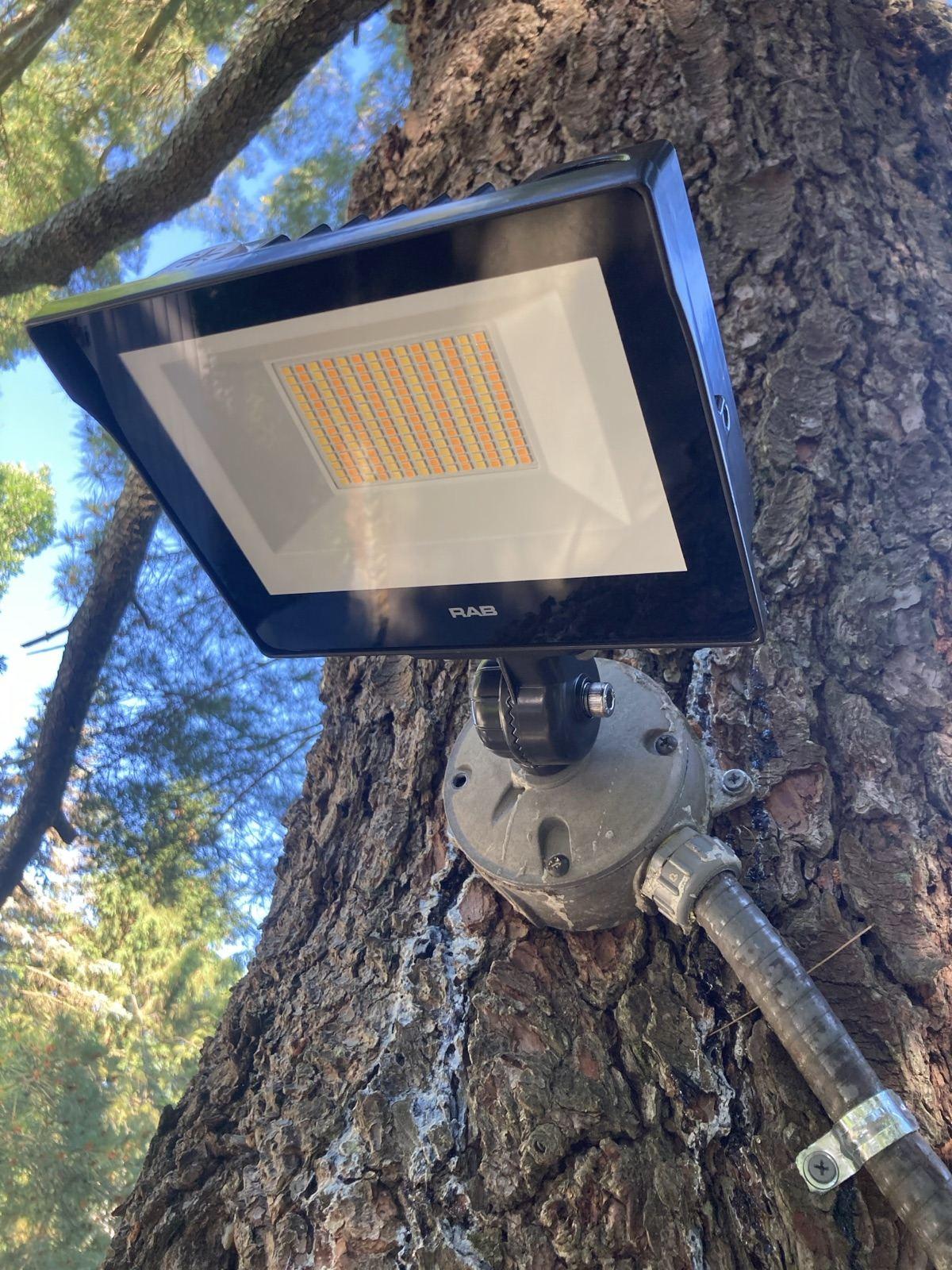 Tree & Landscape Up-Lighting